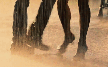 05.gif